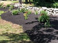 Technicolor Plant Installation by TNT Landscaping & Excavation